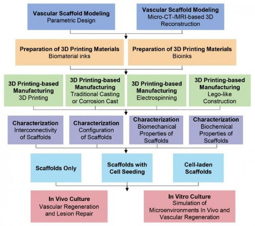 哈工大3D打印技术助力血管再生 组织工程支架的创新突破